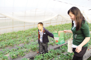 品牌影響源于穩(wěn)健經(jīng)營——江蘇銀行太倉支行發(fā)展小記