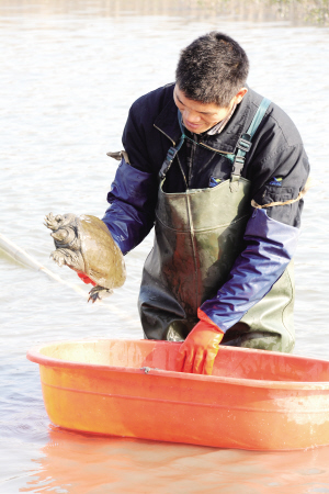 10多年的打工生涯，他“偷偷”學(xué)會了一些養(yǎng)殖技巧?，F(xiàn)在，他在沙溪渠涇村養(yǎng)殖了200余畝水面的水產(chǎn)，還和其他養(yǎng)殖戶一起成立了專業(yè)合作社，年收入近百萬——看看陳開和的水產(chǎn)養(yǎng)殖經(jīng)