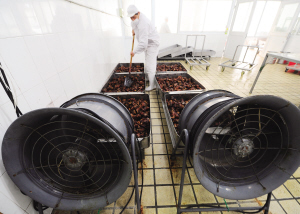 肉松骨頭唇齒留香上百年——探尋太倉肉松骨頭的烹制秘訣