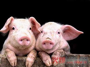 對國家發(fā)展的思考——聽《當前時事分析與熱點問題探討》有感