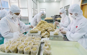 太倉肉松 傳承百年的特產(chǎn)闖出大市場