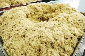 太倉肉松 傳承百年的特產(chǎn)闖出大市場