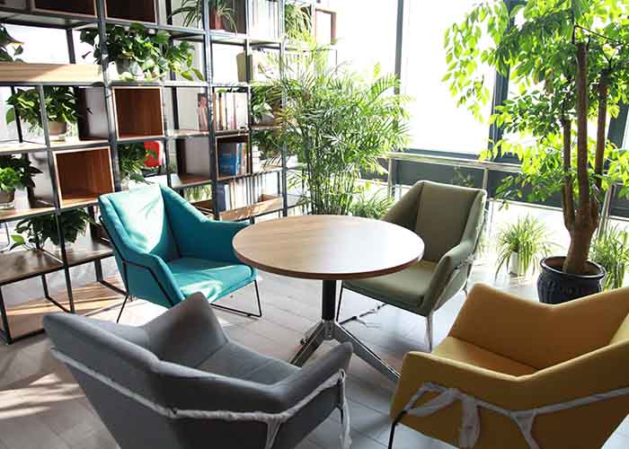 太倉上元教育招聘簡章